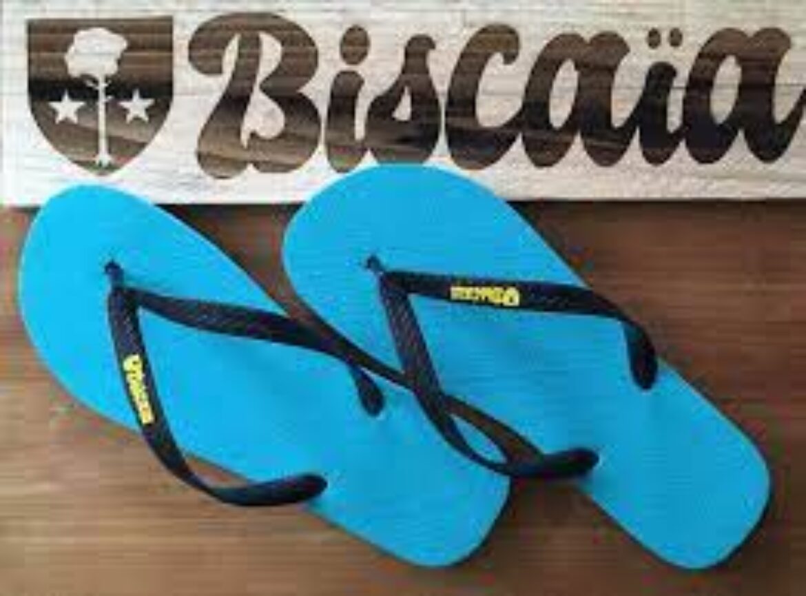 BISCAÏA - Biscarrosse (40)
